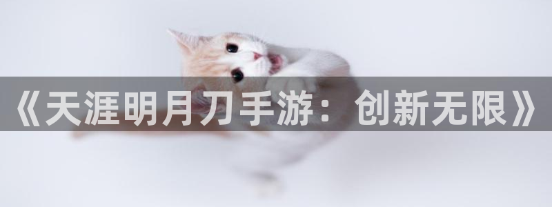 巅峰国际首页：《天涯明月刀手游：创新无限》