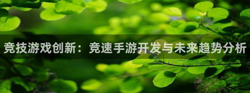 巅峰国际平台：竞技游戏创新：竞速手游开发与未来趋势分析