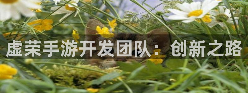巅峰国际app：虚荣手游开发团队：创新之路