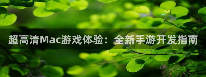 巅峰国际官网：超高清Mac游戏体验：全新手游开发指南