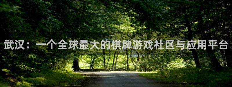 巅峰国际首页：武汉：一个全球最大的棋牌游戏社区与应用平台