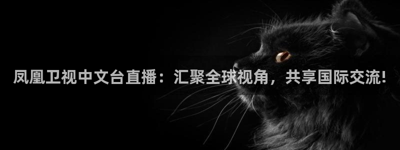 小九直播体育免费直播：凤凰卫视中文台直播：汇聚全球视角，共享国际交流!