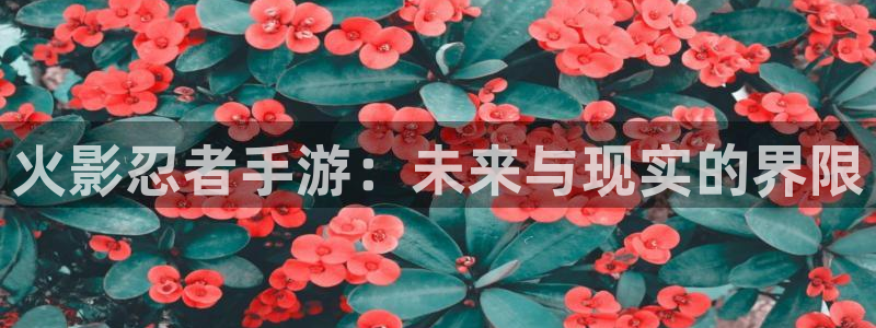 巅峰国际注册：火影忍者手游：未来与现实的界限