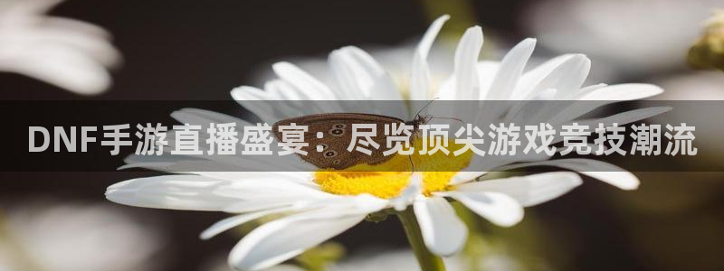 nba在线直播免费观看直播小九直播：DNF手游直播盛宴：尽览顶尖游戏竞技潮流