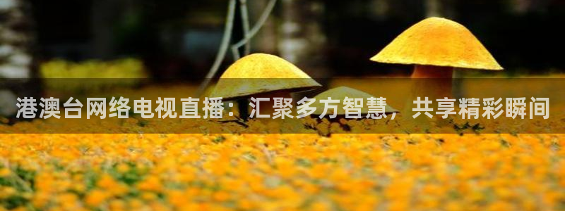 广西小九今天视频播放：港澳台网络电视直播：汇聚多方智慧，共享精彩瞬间