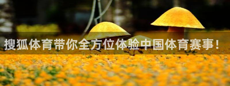 jrs小九篮球直播：搜狐体育带你全方位体验中国体育赛事！