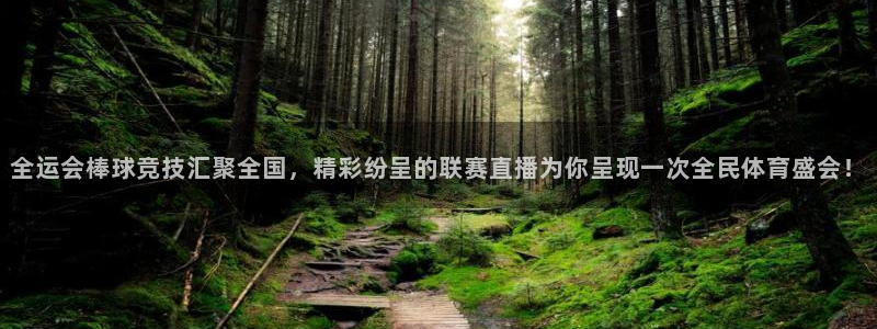 小九体育直播入口