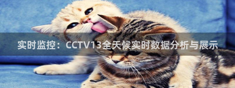 小九足球直播在线观看免费：实时监控：CCTV13全天候实时数据分析与展示