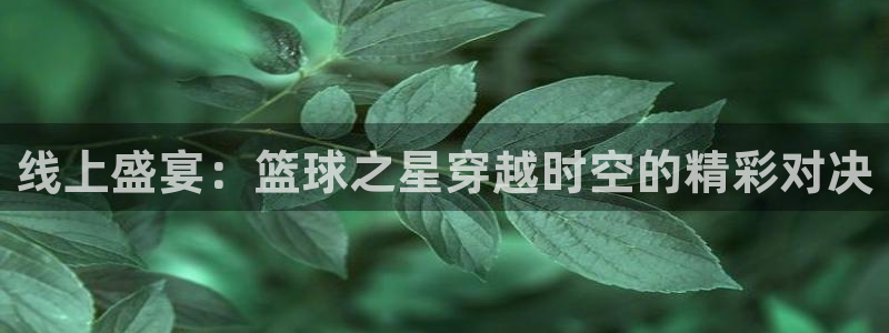 小九直播篮球nba：线上盛宴：篮球之星穿越时空的精彩对决