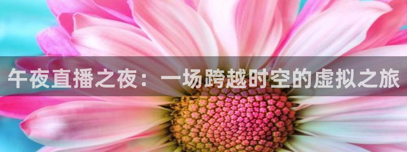 足球直播小九直播在线观看：午夜直播之夜：一场跨越时空的虚拟之旅