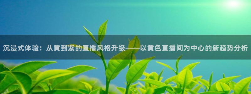 免费nba小九比赛直播高清：沉浸式体验：从黄到紫的直播风格升级——以黄色直播间为中心的新趋势分析
