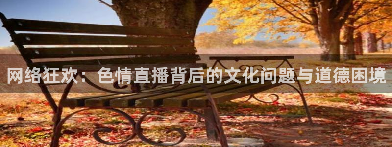 小九免费直播在线观看直播足球：网络狂欢：色情直播背后的文化问题与道德困境