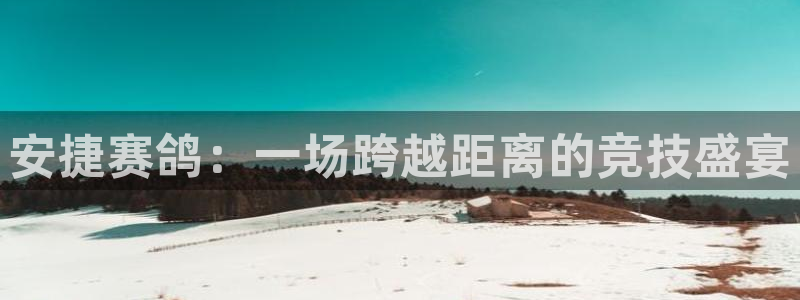 nba直播小九：安捷赛鸽：一场跨越距离的竞技盛宴
