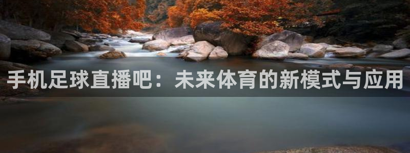 nba直播免费直播小九