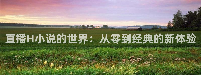 小九体育直播入口：直播H小说的世界：从零到经典的新体验